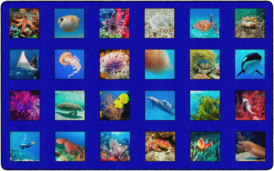 AROUND THE OCEAN RECTANGLE CARPETS 7' 6" x 12'