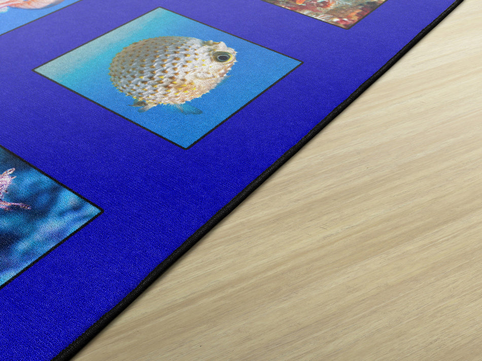 AROUND THE OCEAN RECTANGLE CARPETS 10' 6" X 13' 2"