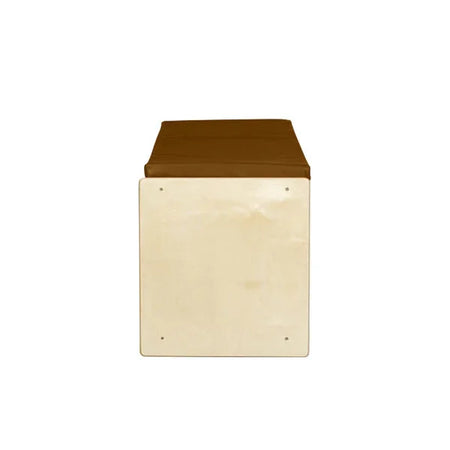 Reading Bench with Brown Cushion