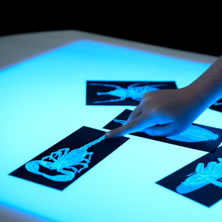 Wood Designs Brilliant Light Table 48” with Storage, WD-991305